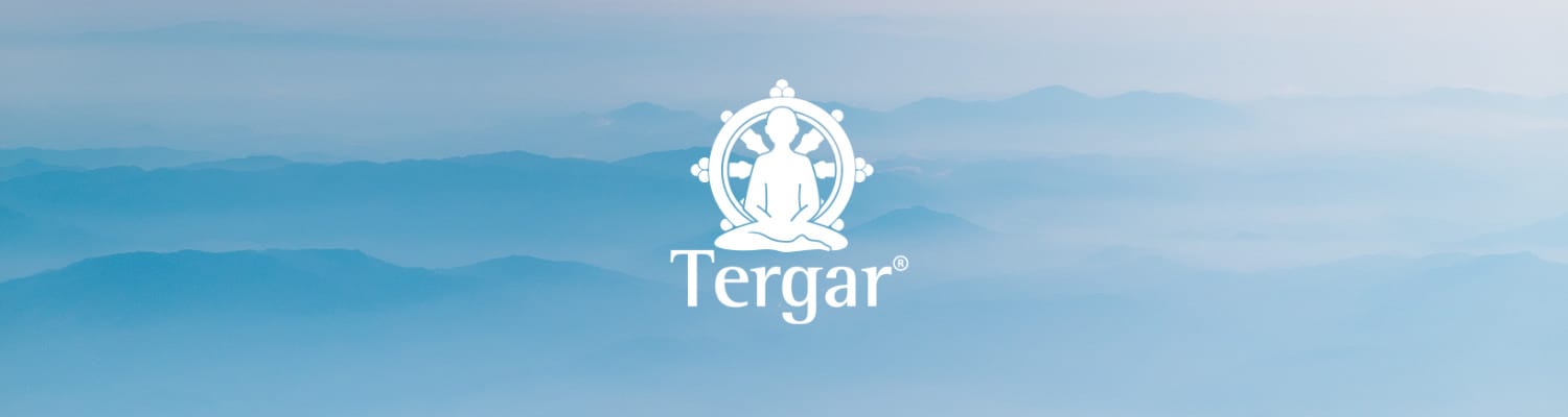 About Tergar South Africa